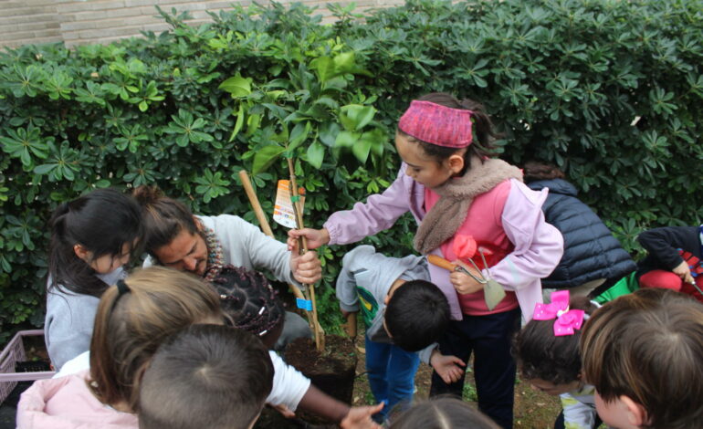 Dénia celebra con los más pequeños el Día del Árbol en la Comunitat Valenciana