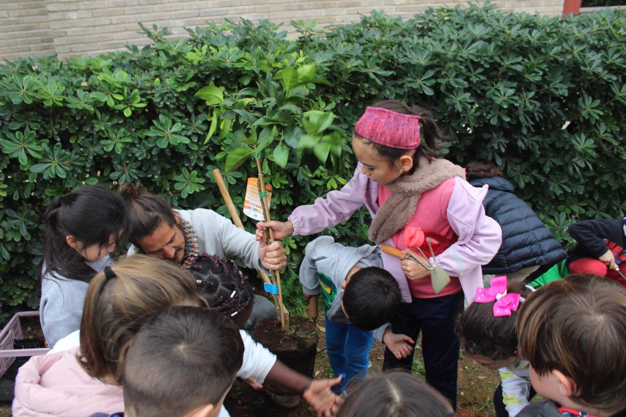 Dénia celebra con los más pequeños el Día del Árbol en la Comunitat Valenciana