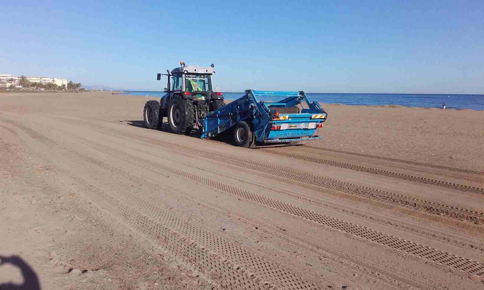 El nuevo contrato de limpieza de playas en Dénia incluye una planta para la posidonia