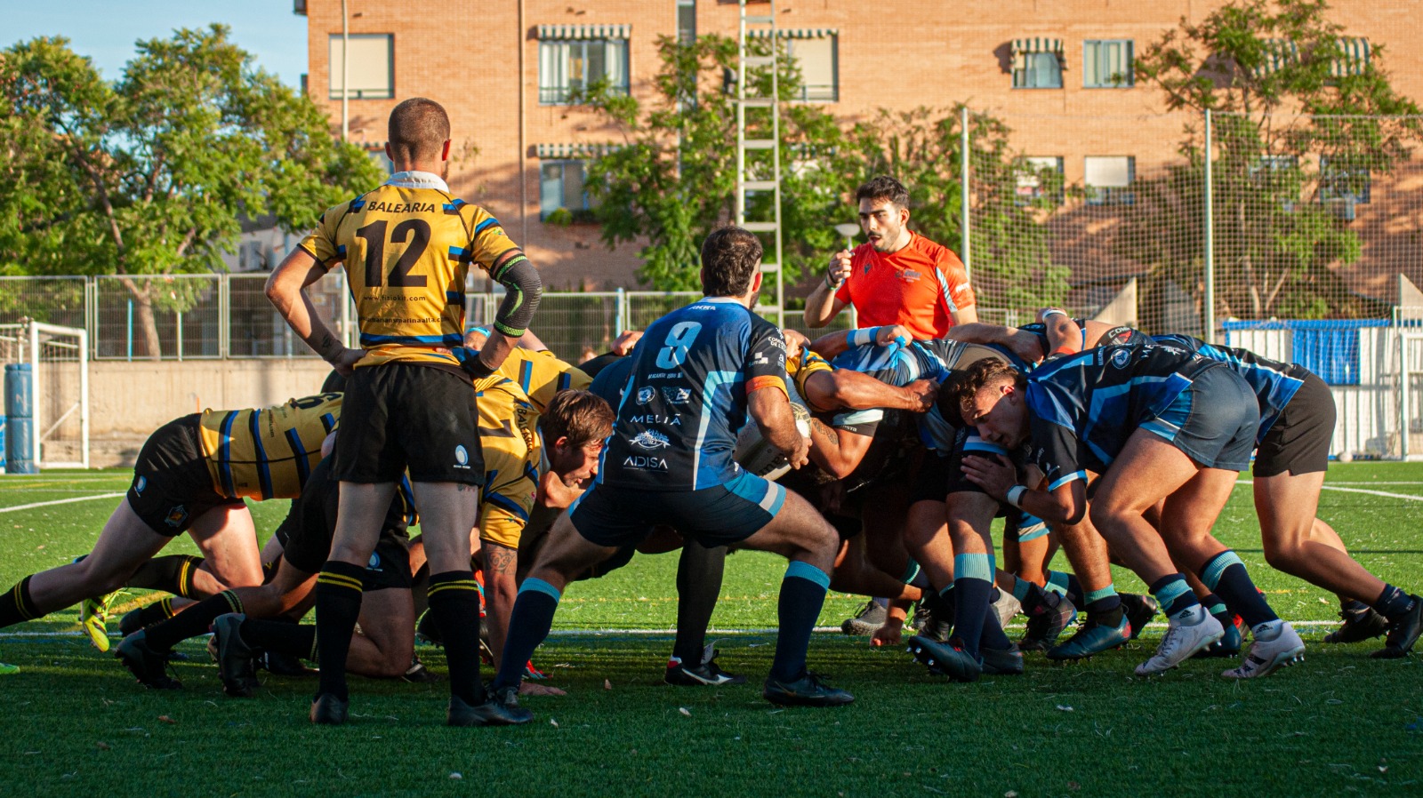 El Dénia Barbarians Rugby inicia el año recibiendo al Tatami Valencia