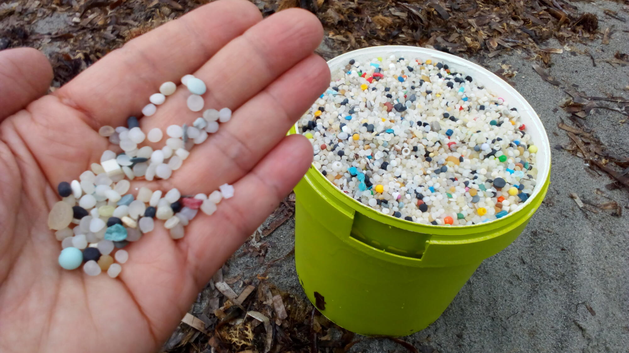 Cultura Sostenible Dénia denuncia la presencia de pellets en las playas de Dénia y Xàbia