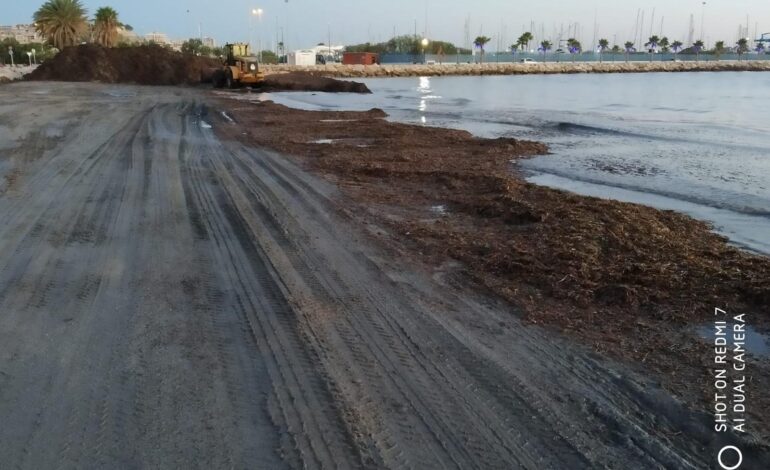 Vía libre al nuevo contrato de limpieza y mantenimiento de playas de Dénia