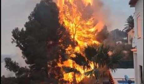 Extinguido el incendio en la zona de Montemar en Benissa