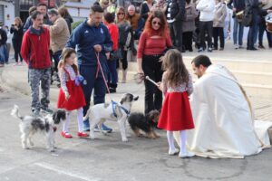 Sant Antoni Ondara 2024 (11)