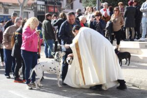 Sant Antoni Ondara 2024 (12)