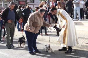 Sant Antoni Ondara 2024 (13)