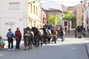 Sant Antoni Ondara 2024 (3)